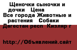 Щеночки-сыночки и дочки › Цена ­ 30 000 - Все города Животные и растения » Собаки   . Дагестан респ.,Кизляр г.